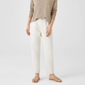 Eileen fisher denim pants
